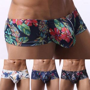 Slip hommes Sexy imprimé slips renflement grande poche taille basse sous-vêtements taille basse hommes érotique Lingerie Ropa intérieur Hombre