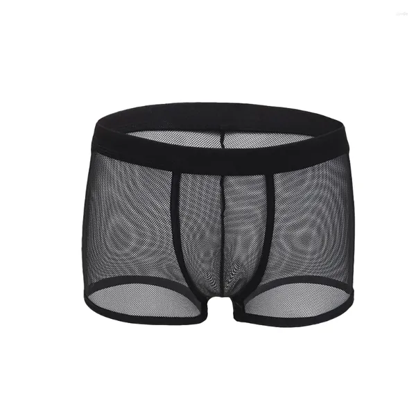 Men de sous-pants hommes Sexy Sissy Mesh U-Convex Boxer Brief