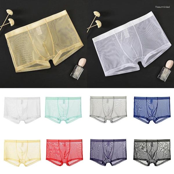 Men de caisse Men Sexy Transparent Boxers Mid Waist Panties Bulge Voir à travers la lingerie intime sous-vêtements