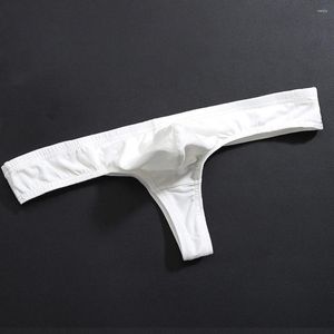 Men de sous-pants hommes Sexe sous-vêtements Coton string mâle intime vêtements à basse hauteur