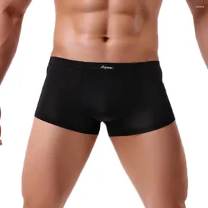 Men de sous-pants Men Sexy Underwear Man Boxer Shorts Bulge Soum