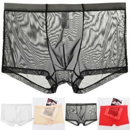 Sous-vêtements hommes sexy sous-vêtements en nylon sans couture glace soie slips ultra-minces voir à travers maille boxer transparent shorts250l