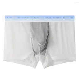 Sous-vêtements pour hommes, sous-vêtements sexy, Boxer sans couture, short en soie glacée, culotte fine et confortable, transparent, respirant