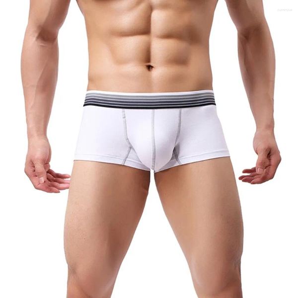 Calzoncillos para hombre, ropa interior Sexy, Boxer a rayas, pantalones cortos sólidos, bolsa abultada transpirable para hombre, Boxershorts de algodón de alta calidad