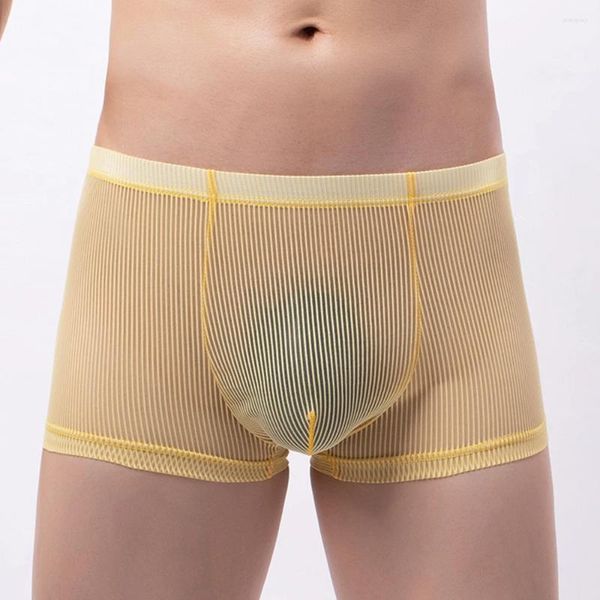 Caleçons pour hommes, caleçons transparents et respirants, confortables, Sexy, poche convexe en U, culottes, boxeurs, sous-vêtements gai