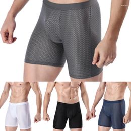 Men de caisse Solide Fitness Fitness extensible Mesh Ice Ice Boxer sous-vêtements Sexe Patties Sexe Body Flexible Shorts