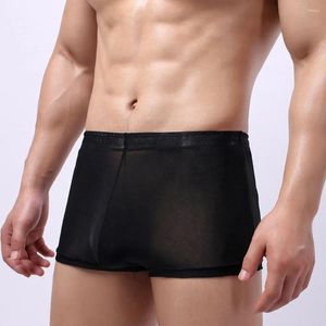 Slips Hommes Transparent Boxer Ultra-mince Maille Slips Couleur Unie Ceinture Troncs Léger Respirant Usure Quotidienne Gay Homme Lingerie