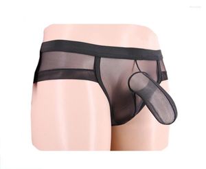 Men de sous-pants Men Transparent Mesh sous-vêtements mâle Male Elephant Nez Big Penis Pouche Brief Gay Lingerie4891824