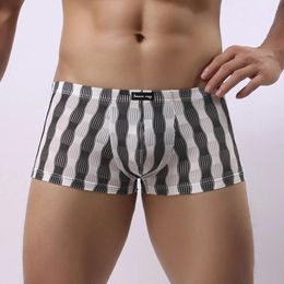 Unterhosen Männer Trunks Durchsichtige Boxershorts Sheer Mesh Unterwäsche Gestreifte Bedruckte Höschen Shorts Beutel Ausbuchtung Männlich