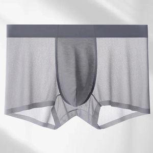 Men de sous-pants hommes troncs transparents boxer bisses houstouflés à la glace confortable shorts de soie gonfle