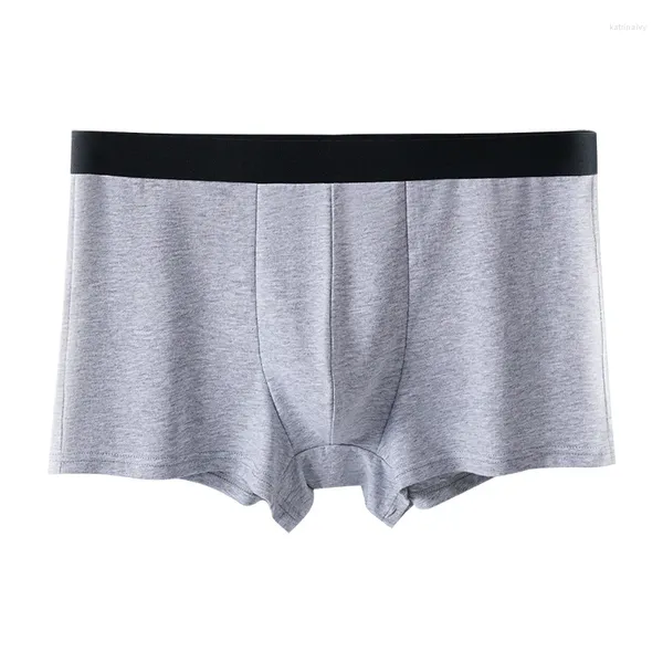 Sous-vêtements hommes sous-vêtements antibactériens Boxer couleur unie haute élastique mince coton culotte