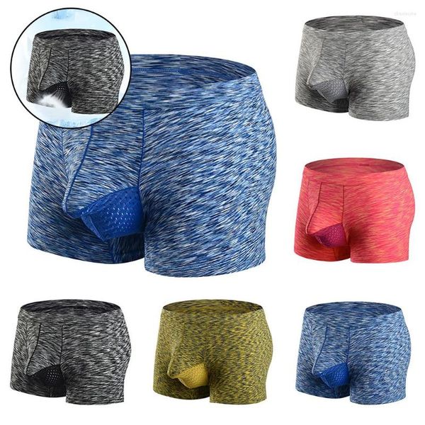 Caleçon Hommes Sous-Vêtements Boxer Briefs Glace Soie Shorts Culotte Bulge Pouch Respirant Casual L-3XL