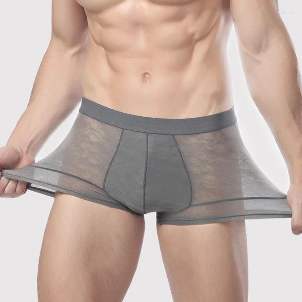 Men de sous-vêtements Men sous-vêtements boxer sexy glissée Soft Ice Silk Voir à travers un short respirant transparent drôle de bikini gay drôle culte Underware Man Pack