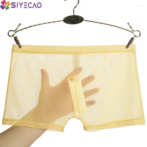 Men de caisse Men de sous-vêtements Boxers Elephant Nose Penis Pouchée Mesh sans faille