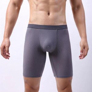 Onderbroek Heren Ondergoed Ademende Slips Heren Zomer Sport Hoge Elasticiteit Ijs Zijde Slipje Voor Sneldrogend Slim Fit Lang