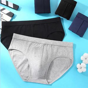 Sous-pants hommes sous-vêtements Briefs confortables hauts coton doux respirant pour hommes avec l'humidité pour le confort