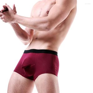 Caleçons Hommes Sous-Vêtements Modal Éléphant Nez Boxers Soutien Scrotal Respirant Drôle Culotte Unterhosen Herren Pénis Pouch Short Masculinas