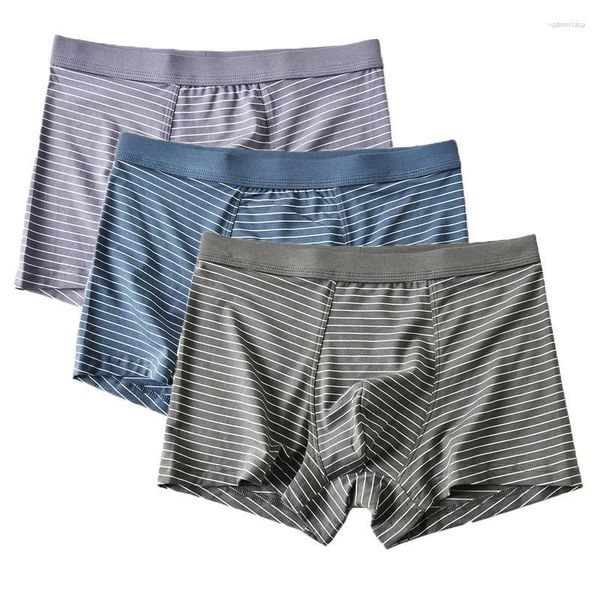 Calzoncillos para hombre, conjunto de ropa interior, calzoncillos tipo bóxer, elásticos a rayas, suaves, transpirables, pantalones cortos sexys, bragas con bolsa convexa en U