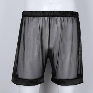 Caleçons Hommes Sous-Vêtements Sexy Mesh Boxer Briefs Longue Jambe Culotte Transparente Shorts Pouch Boxershorts Slips Homme