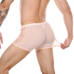 Mutande da uomo 2024 pizzo traspirante trasparente sexy gay grande custodia per cazzi vedere attraverso le mutandine della biancheria intima del boxer