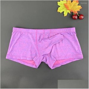 Sous-vêtements Hommes Boxer Briefs Elephant Nose Taille basse Sexy Mode Slim-Fit Cool Confortable Respirant Hommes Pantalon Fort Mâle Dro Dhhqg