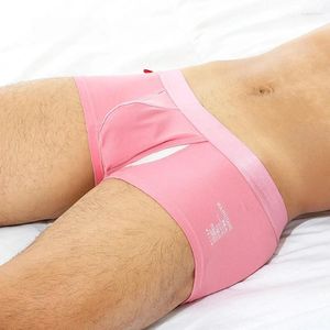 Onderbroek Mens Boxer -briefs met uitpitje Laagbouwmodale herenboksers shorts plus size mannen ondergoed roze gay penis cuecas