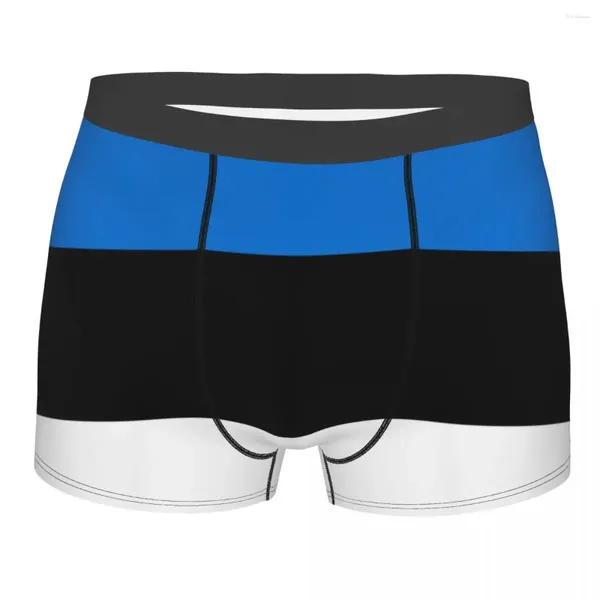 Sous-vêtements hommes Boxer sous-vêtements sexy drapeau de l'Estonie culotte masculine pochette pantalon court boxe