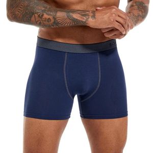 Calzoncillos bóxer para hombre, calzoncillos para hombre, ropa interior Sexy para hombre, calzoncillos bóxer de algodón para hombre 2023, calzoncillos de alta calidad