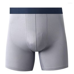 Onderbroeken Heren Boxers Slips Katoenen Ondergoed Hombre Size Slipje Effen Shorts Bokserki Meskie Sous Vetement Ijs Zijde Naadloos