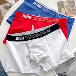 Sous-pants Boîtes pour hommes Coton sous-vêtements Sleep Men Men Greats Shorts confortables Boxer de taille plus hombre 4xl