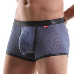 Caleçon Boxers pour hommes Sous-vêtements Taille basse Boxershorts pour hommes Sexy Mesh Voir à travers les culottes masculines Temptation Bulge Penis Big Pouch Man Lingerie