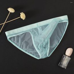 Sous-vêtements pour hommes sous-vêtements respirants tongs transparentes tronc d'éléphant été voir à travers des slips sexy ultra-minces pour hommes Y2k