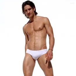 Slips hommes slips BOYTHOR coton grande taille hommes culotte de sous-vêtements hommes respirant solide Sexy confortable Shorts