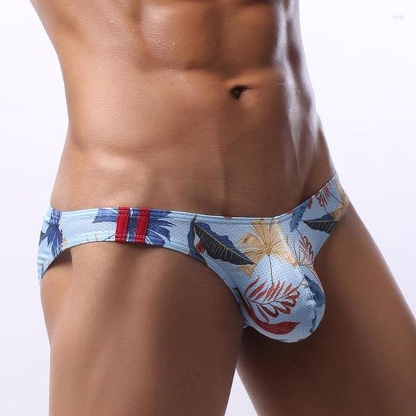 Calzoncillos para hombre, suspensorio, suspensorio Sexy, ropa interior de malla, Sissy, transpirable, Cuecas, Tanga para hombre, bragas deslizantes, tangas 2XL