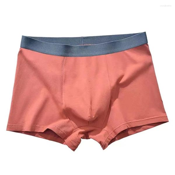 Calzoncillos para hombre Boxer de algodón Ropa interior sólida Sexy Breve Cintura media Bragas Comodidad Lencería suave Wicking Transpirable