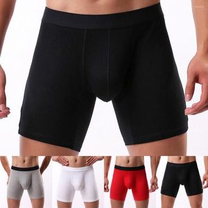 Sous-vêtements hommes coton solide longue jambe respirant sport Boxer slips culottes hommes sous-vêtements Lexible grande taille Shorts