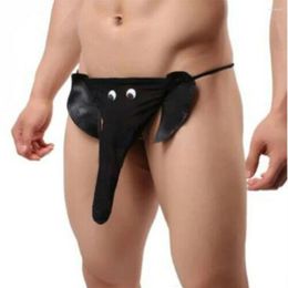 Calzoncillos para hombre elefante tangas nariz bikini para hombre ropa interior de tiro bajo g-string sólido t-back calzoncillos bolsa bragas divertido