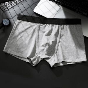 Onderbroek heren mannelijke jongens ondergoed sexy zachte penis pouch bokser briefs katoen ademende slipjes trunks lingerie slip homm