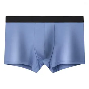 Sous-vêtements pour hommes Modal U-Pouch Sous-vêtements Boxer Slips Shorts élastiques doux Trunks sans couture Peni Bulge Culottes respirantes