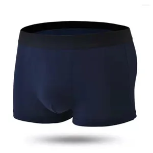 Sous-vêtements pour hommes, culottes, slips, sous-vêtements à poche convexe en U, Boxer confortable, Sexy, respirant, doux, élastique, pour la natation