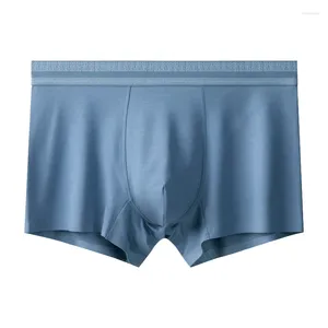 Onderbroek heren plus size u convex zakje ondergoed modale jongens ademende doorschijnende boksers ultradunne bikini slip homme