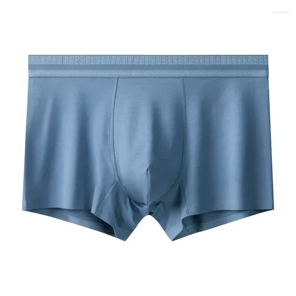 Sous-pants hommes plus taille u convex pochet sous-vêtements modal garçons bacs translucides baceurs ultra-Thin Bikini Slip Homme