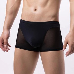 Sous-vêtements pour hommes, transparent, Sexy, maille de soie glacée, poche bombée, Boxer, slip, sous-vêtements, culotte, Bikini, respirant