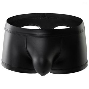 Caleçons Hommes Sexy Backless Trunks Oil Shiny Briefs Low Rise Shorts Boxers Elephant Nose Pochettes pour hommes String Sous-vêtements respirants