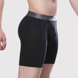 Caleçons Hommes Sexy Boxer Briefs Sous-Vêtements Mesh Shorts Trunks Respirant Sport Garçon Confortable Doux