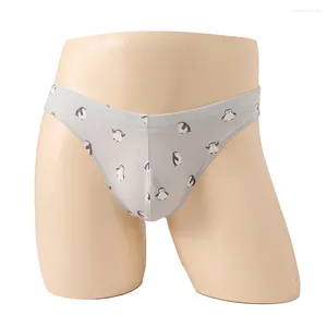 Sous-vêtements hommes sexy coton élastique doux imprimé slips pochette culottes sous-vêtements impression lingerie séchage rapide hommes