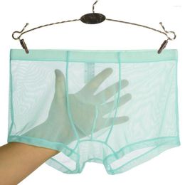 Onderbroek heren sexy mesh bikini-briefs nachtkleding ademende doorzichtige puls boxer ondergoed shorts naadloos slipje