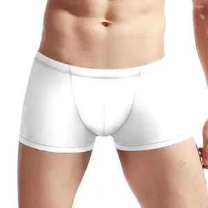 Sous-pants pour hommes, lingerie de soie sexy voir à travers la taille basse boxer brèche bouchette des troncs de sous-vêtements mâles sans trace