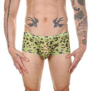 Men de sous-pants pour hommes Sexy sous-vêtements Boxer Shorts en maille