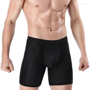 Sous-pants shorts pour hommes glacière Cool Comfort Mesh Brewable Mesh Longg Brief Viscose sous-vêtements pour hommes Cadeau de fitness Pantal